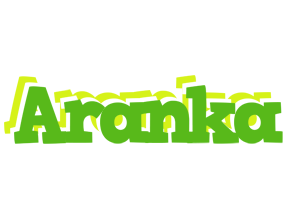 Aranka picnic logo