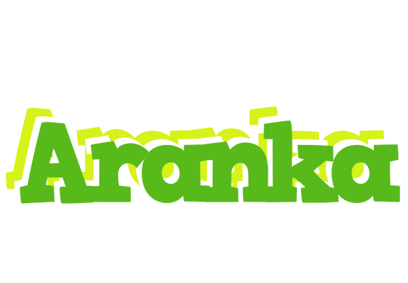 Aranka picnic logo