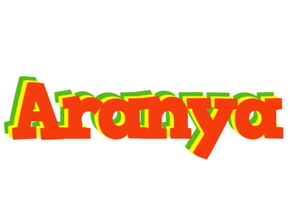 Aranya bbq logo