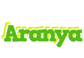 Aranya picnic logo