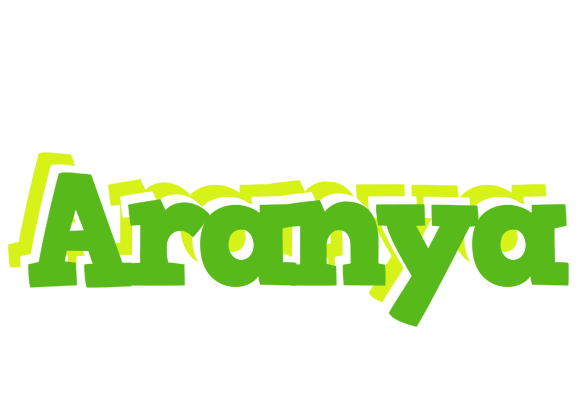 Aranya picnic logo