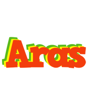 Aras bbq logo