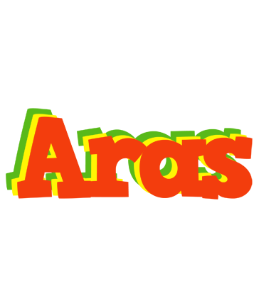 Aras bbq logo