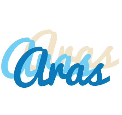 Aras breeze logo