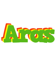 Aras crocodile logo