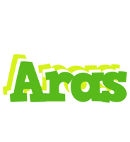 Aras picnic logo