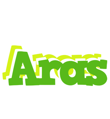 Aras picnic logo