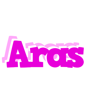 Aras rumba logo
