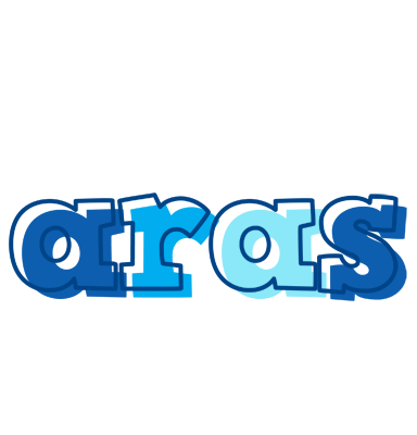 Aras sailor logo