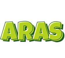 Aras summer logo