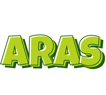 Aras summer logo