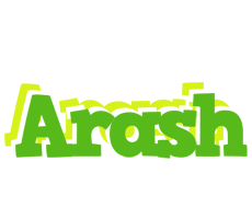 Arash picnic logo