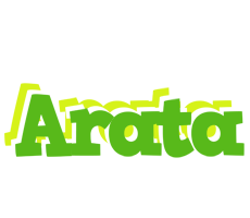 Arata picnic logo