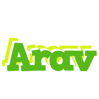 Arav picnic logo