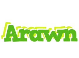 Arawn picnic logo