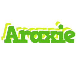 Araxie picnic logo