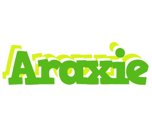 Araxie picnic logo