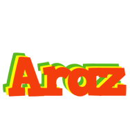 Araz bbq logo