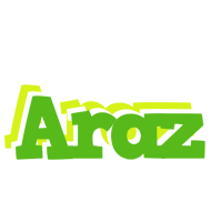 Araz picnic logo