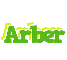 Arber picnic logo