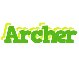 Archer picnic logo