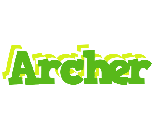 Archer picnic logo