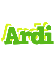 Ardi picnic logo