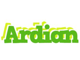 Ardian picnic logo