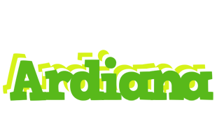 Ardiana picnic logo