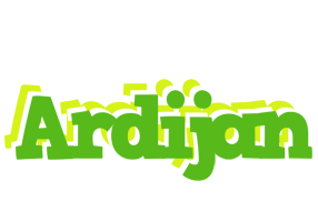 Ardijan picnic logo