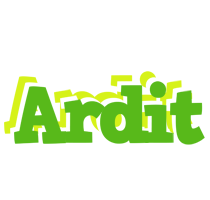 Ardit picnic logo