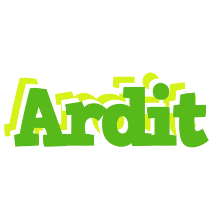 Ardit picnic logo