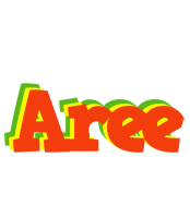 Aree bbq logo