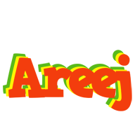 Areej bbq logo