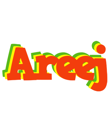 Areej bbq logo