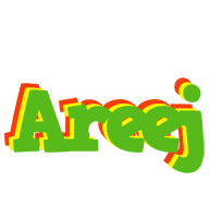 Areej crocodile logo
