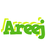 Areej picnic logo