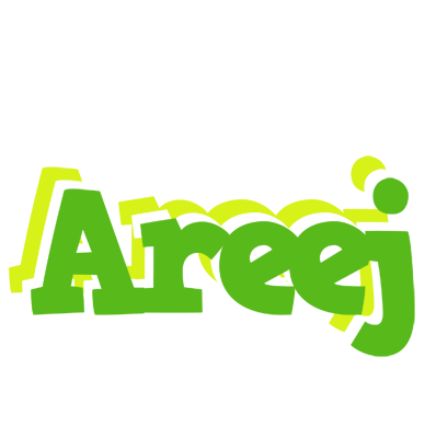 Areej picnic logo