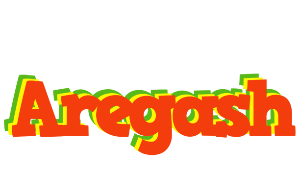 Aregash bbq logo