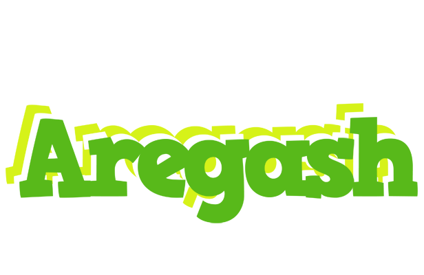 Aregash picnic logo