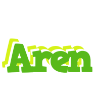 Aren picnic logo