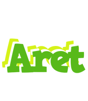 Aret picnic logo