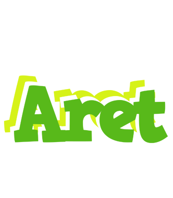 Aret picnic logo