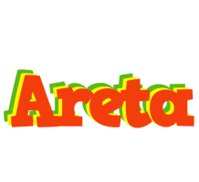 Areta bbq logo