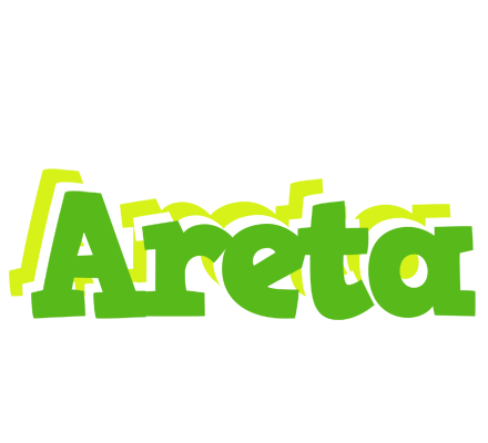 Areta picnic logo