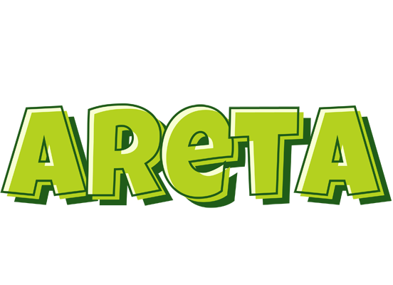 Areta summer logo