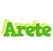 Arete picnic logo