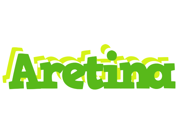 Aretina picnic logo