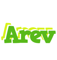 Arev picnic logo