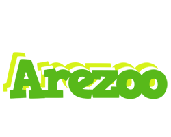 Arezoo picnic logo